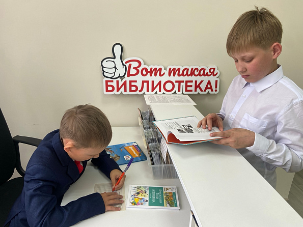 «День дублёра» в Акулевской сельской библиотеке