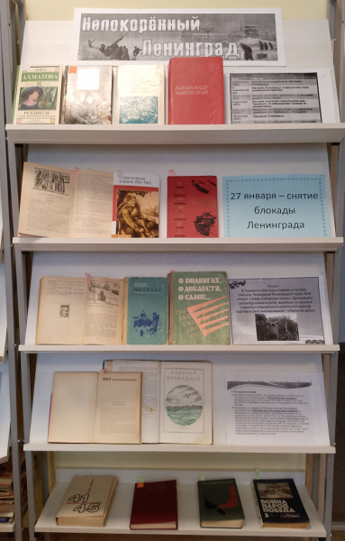 Патриотическая выставка в Янгильдинской сельской библиотеке